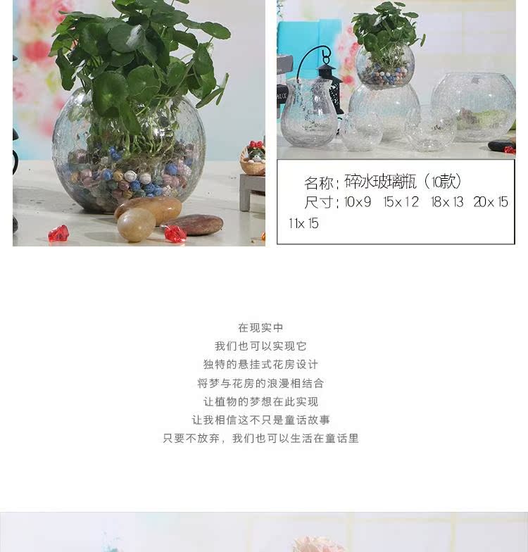 Bình thủy tinh - Vase / Bồn hoa & Kệ chậu trồng lan