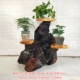 Thân gỗ rắn chạm khắc khung gỗ với nhiều tầng cây xanh bonsai bể cá khung gốc cây cơ sở hoa đứng phòng khách - Các món ăn khao khát gốc