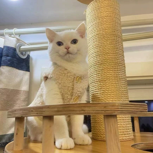 Удерживающий тепло демисезонный жилет, милый брендовый пуховик