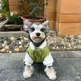 Толстовка, утепленный пуховик