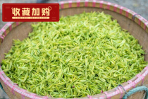 Jingdezhen Jiangxi Yaoli farm homemade characteristics of spring before the rain fried green green tea 500 grams thick taste