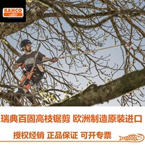 Swedish Baigu high-branch saw head 384-6T imported fruit tree branch high-altitude pruning saw extension rod AP-5M