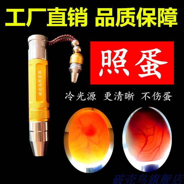 Egg Illuminator PowerLight hatching special chicken duck quail egg - testing egg - lighting lamp charging small flashlight