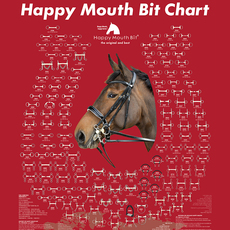 трензель 日本happymouth口衔铁大环口衔铁马术障碍口衔铁马嚼子马衔铁进口