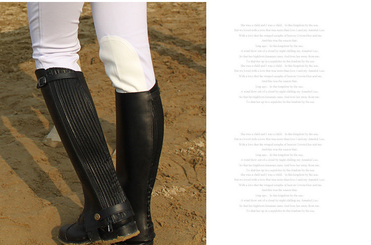 Article équitation BASLONG - Ref 1380456 Image 19