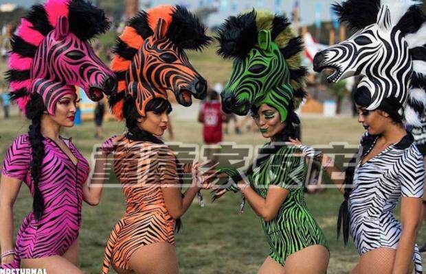 TT Night Club Zebra for a show with an interactive sexy gogo acting out of the nightclub bar ds to play out.