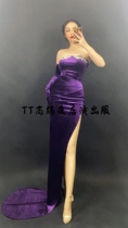 TT high-end custom nightclub singer ds sexy high-end velvet tube top dress