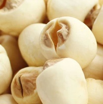  New premium coreless white lotus Wild lake pond