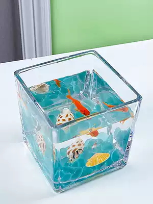 Small fish tank aquarium living room small desktop creative household crystal glass ecological mini goldfish tank Square
