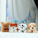 Hailiwei Pupa Dog Plush Toy Cute Ancient Shepherd Dog Doll Baby Doll Girl Rag Doll ຂອງຂວັນວັນເກີດ