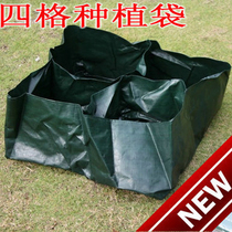 Foreign trade Quality Four Flower Pots Children Comic Style Vegetable Growing Bags Hybrid type Vegetable Pool 60 * 60 * 25