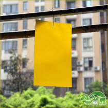25 * 15cm double-sided adhesive insect paper plant green environmental protection and insect repellent yellow plate yellow trapping and insect repellent plate