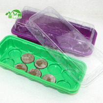 Imported 38mm seedling block special seedling box Purple green optional seedling box seedling basin seedling tray