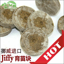 Quality mud Charcoal Moss Norway Imported Tefie Jiffy38mm Nursery of Seedling Block Spot 1000
