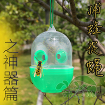 Trapping the bumblebee fly beletrap flycatcher just cant get out of the physical damage.