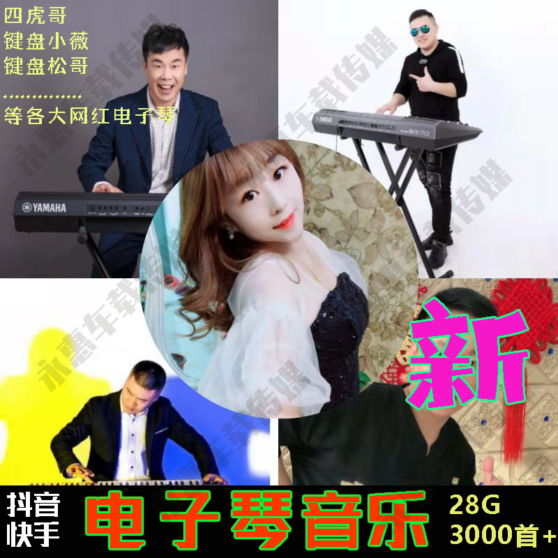 Four Tiger Gothic electronic violin on-board with body shake fast hand keyboard Xiaowei Heavy bass Electronic qin Heavy bass DJUSB with the body