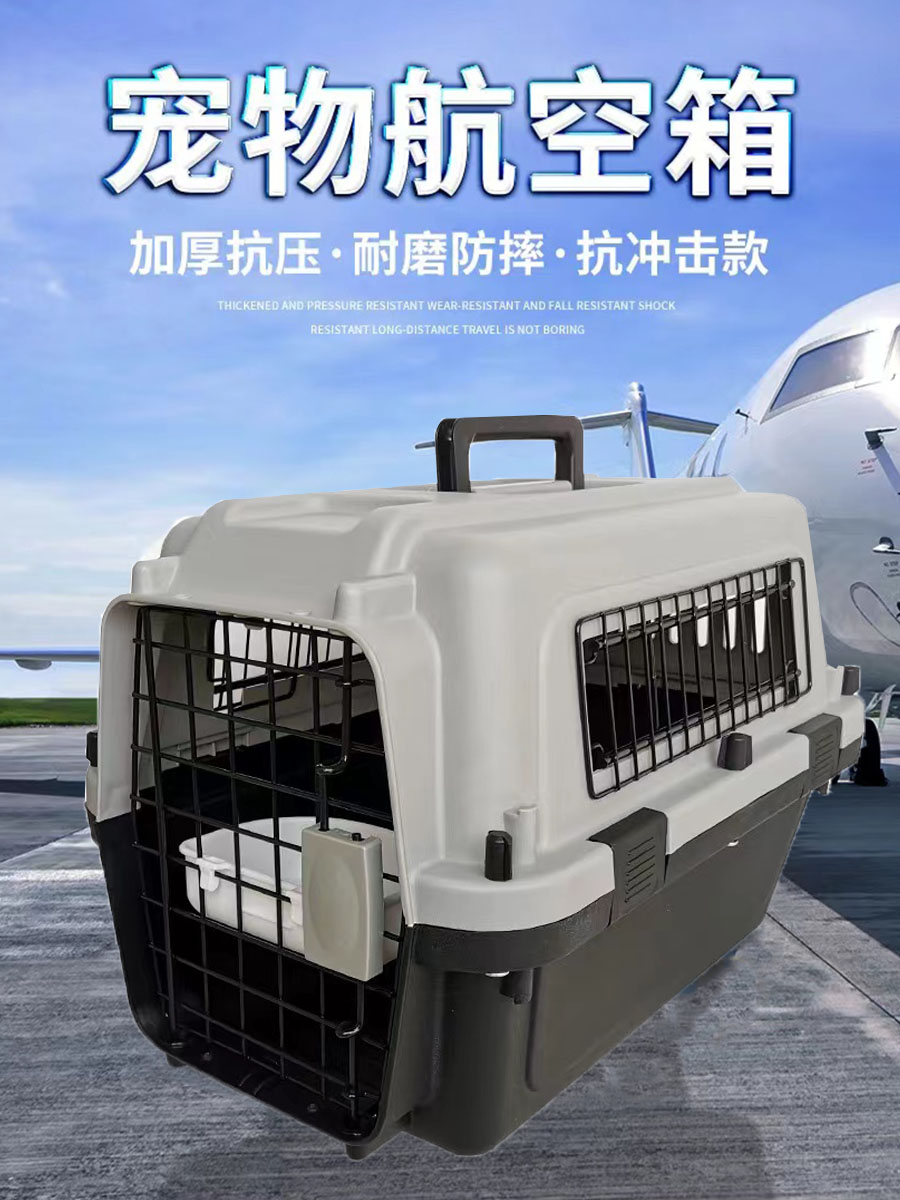 Air China air box pet consignment box car out portable cat bag dog cat air box space capsule iron window