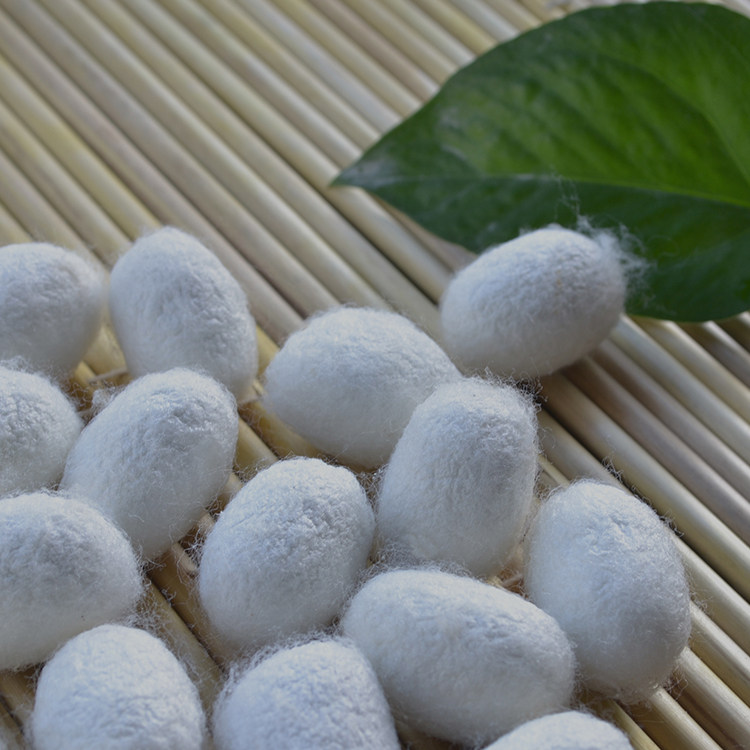 농민의 천연 누에기 고치수 음료 얼굴 얼굴 아름다움 각질 제거 오픈 실크 누에 고치 쉘 실크 누에 고치 무료 배송