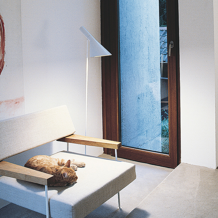 �̵�ɭ�ִ���Լ��ɫ��ص�