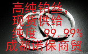 伯乐转印槽，蛋白槽，水平电泳槽高纯度铂金丝， 电泳仪电极丝