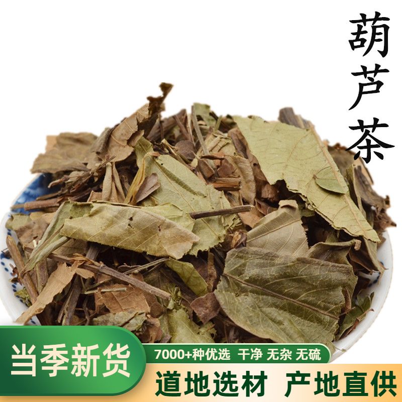 Gourd Tea Cow caterpillar fungus Forced Neck Grass 100 Tongue Golden Sword Grass 500 gr 