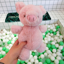 ins cute little pig paparazzi plush toy children appeasement with sleeping doll cloth doll paparazzi gift girl hearts