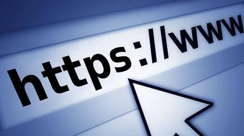 DV SSL certificate https certificate Security certificate Website encryption certificate Normal version Free version