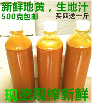 Jiaozuo fresh Dihuang juice Authentic fresh Dihuang juice Raw Dihuang pulp juice 500g Order now squeeze Buy 4 get 1 free