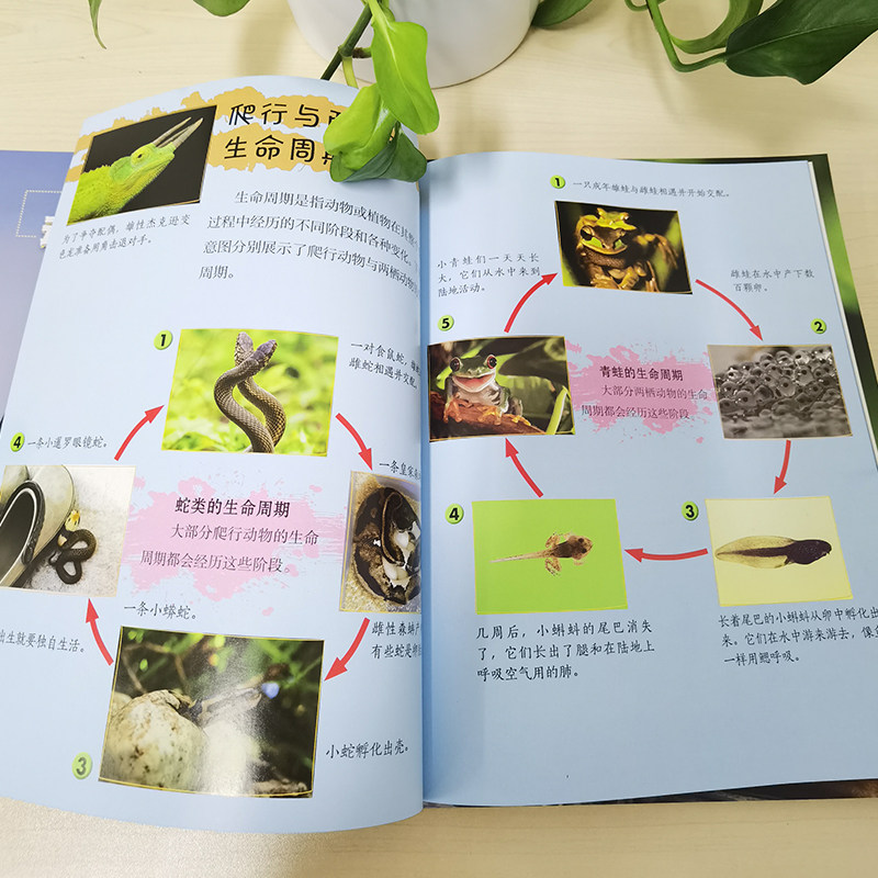 我的第一套动植物百科全书 全6册套装 天猫优惠券折后￥29.8包邮（￥49.8-20）