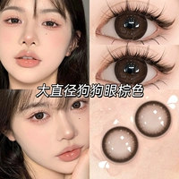 Луна Богиня Прибытие 14,5 мм [две пары медсестринской жидкости, одна пара сопутствующей коробки] [HB447-A]