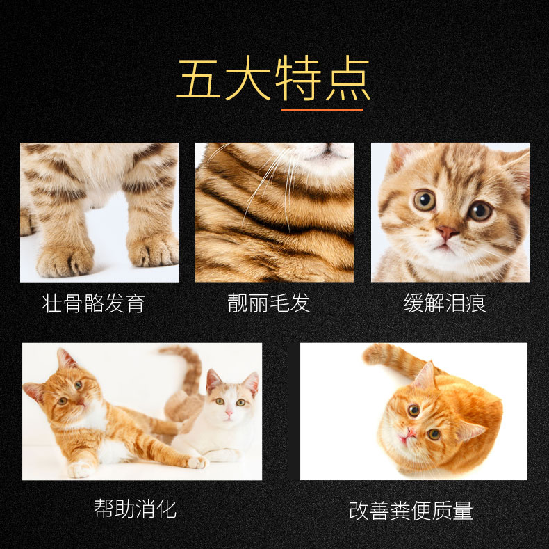 Meizi Yuan Cá biển thành thức ăn cho mèo 2,5kg vào thức ăn cho mèo tải 5 kg - Cat Staples catsrang