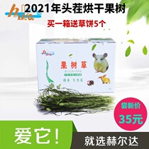 Spot 2021 year stubble Herda fruit tree grass rabbit dragon cat Dutch pig green fragrant soft hair 1KG