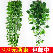 Plant hanging flower decoration interior hanging wall hanging flower plastic flower Vine living room family decoration simulation fake green rose decoration