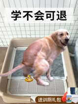 Dog bedpan automatically cleaning up superior dog toilet Labrador special dog sandpot pooch lashit dog sand large dog