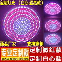  Custom led fresh light pork light cold fresh meat light Supermarket meat deli special light Fruit light red super bright