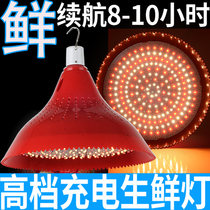  Rechargeable LED fresh light Pork light Cooked food special light Stewed vegetable stewed meat light Fruit seafood light Chicken and duck light