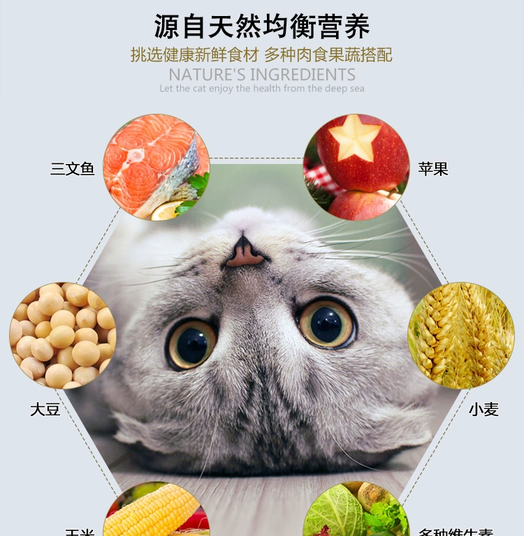 Thú cưng Trung Quốc tự nhiên bánh sữa em bé thức ăn cho mèo mèo cá cơm Anh ngắn mèo ngắn thức ăn chủ yếu toàn mèo thức ăn 500g
