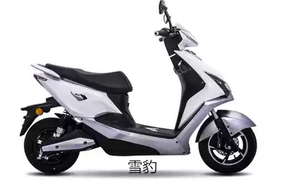 Emma electric car Snow Leopard professional custom foot pad silk ring car special durable easy to wash foot pad