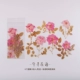 Chihiro Flower-6 Inlet