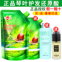 Qin leaf snail slime reducing Enzyme Hydrating slippery conditioner hair nutrition care Supple Spa hair mask