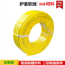 Full copper wire core two core yellow cable multi core 2X1 5 2 5 4 square copper core socket wire sheathed wire