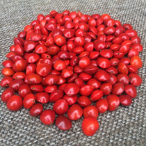 Natural red bean Bodhi original seed Acacia bean sea red bean hand string bracelet loose beads on Jin Jin red bean beads a punch