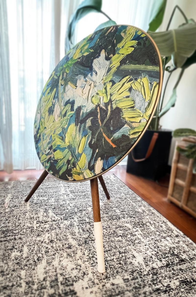 Tegrino New Pint Leather Jacket Cortical Foot Sleeve A9 Sound Special 1234 Generation Universal Bo Accessories