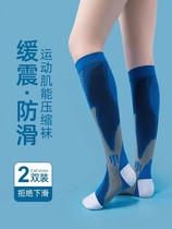 Two pairs of sports fencing socks colorful children and adults professional breathable extended competition training special pressure socks