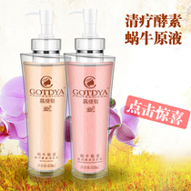 High-Elegant Snail Mucous liquid clear-treatment enzyme no silicone oil shampoo Shampoo Lotion SOFT AND SMOOTH DE-DANDRUFF CONTROL OIL