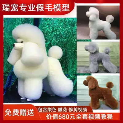 Rui pet pet beauty practice Teddy VIP fake hair model fake dog hair fake back hair full body hair