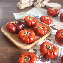 Small pumpkin dried flowers Christmas Halloween decoration small pumpkin mini natural plant home inn decoration props