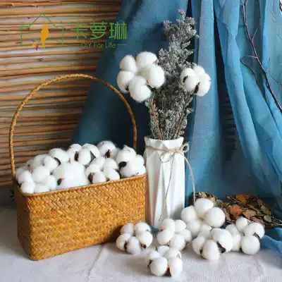 5-petal cotton head white cotton natural cotton hand-dried flower eternal flower art retro decorative dry flower branches