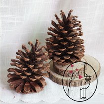 Carolyn zakka Handmade Natural wild fruit Big pine cones Christmas Big Pine cones photo prop 12cm