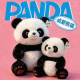 ຂະຫນາດໃຫຍ່ Panda Doll Plush Toy Doll Chengdu Rag Doll Pillow ການເດີນທາງຂອງຂວັນທີ່ລະນຶກສໍາລັບເດັກນ້ອຍ